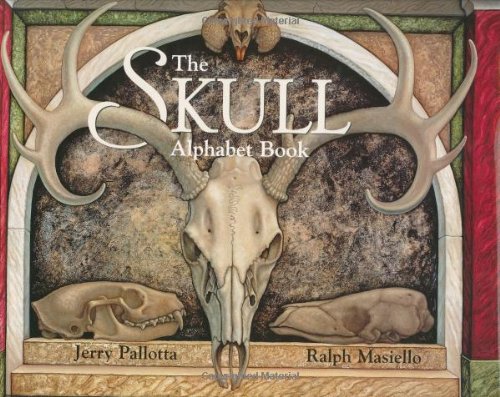 The Skull Alphabet Book by Jerry Pallotta
