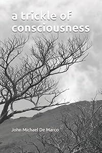 A Trickle of Consciousness by John Michael De Marco