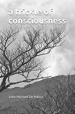 A Trickle of Consciousness