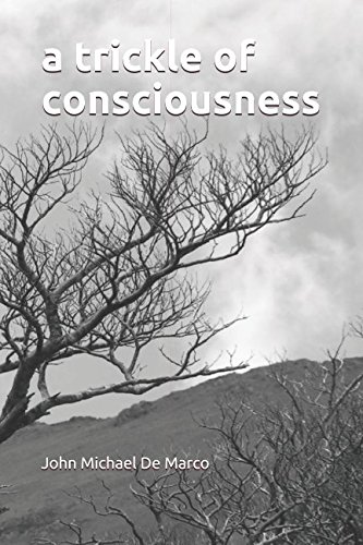 A Trickle of Consciousness by John Michael De Marco