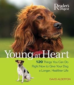 Young at Heart: 120 Things You Can Do Right Now to Give Your Older Dog a Longer, Healthier Life