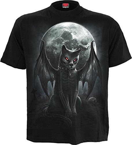 Algopix Similar Product 1 - 