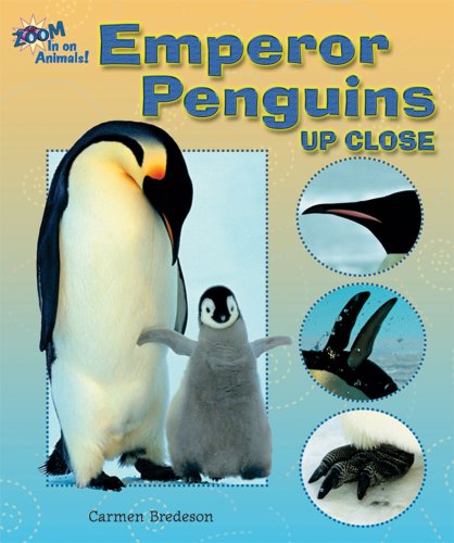Emperor Penguins Up Close (Zoom in on Animals!) by Carmen Bredeson