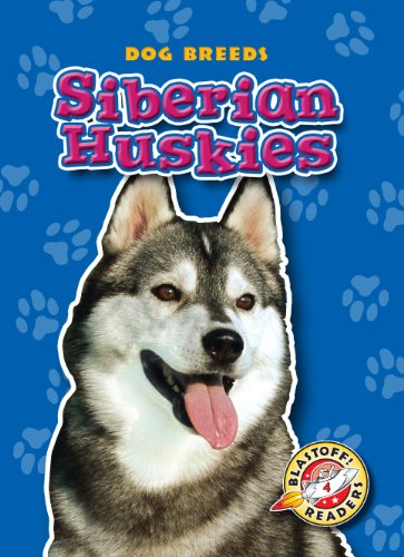 Siberian Huskies by Anne Wendorff