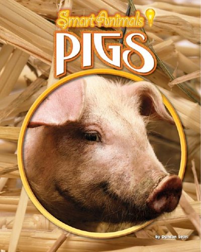 Pigs (Smart Animals) by Duncan Searl