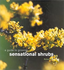 A Guide to Growing Sensational Shrubs