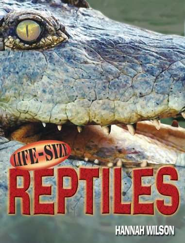 Life-Size Reptiles by Hannah Wilson