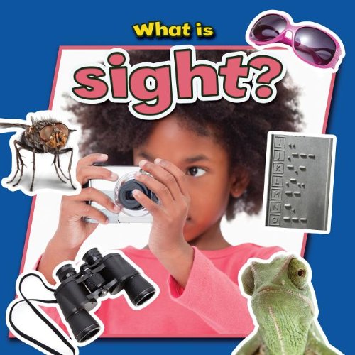 What Is Sight? by Molly Aloian