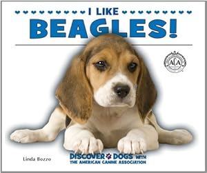 I Like Beagles!