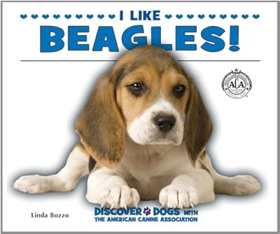 I Like Beagles!