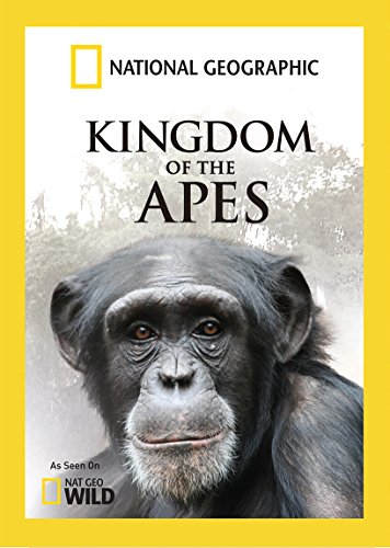 Kingdom Of The Apes by Artist Not Provided