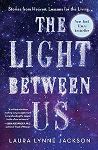 The light between us : stories from heaven; lessons for the living
