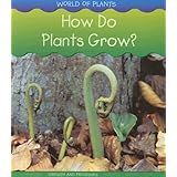 How Do Plants Grow?