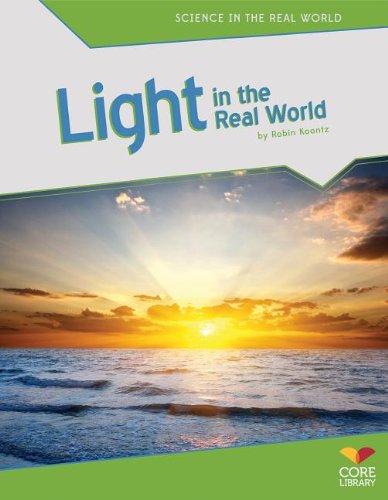Light in the Real World by Robin Michal Koontz