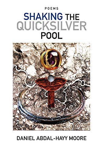 Shaking the quicksilver pool, the book of infinite beauty by Daniel Abdal-Hayy Moore