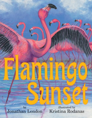 Flamingo Sunset by Jonathan London