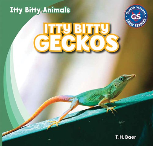 Itty Bitty Geckos by T  H Baer