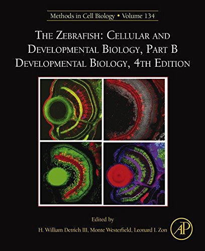 The Zebrafish: Cellular and Developmental Biology, Part B Developmental Biology (ISSN Book 134) by H. William Detrich III