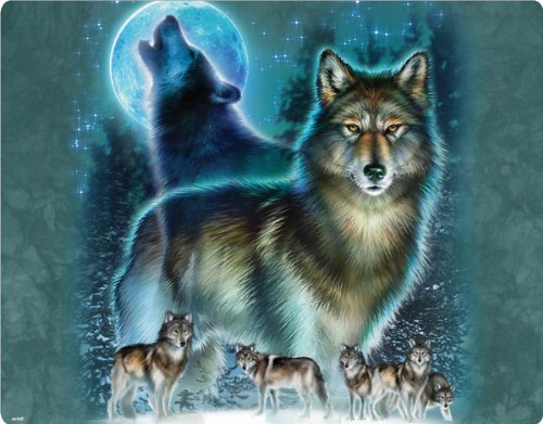 

Liquid Blue - Lone Wolf - Motorola Droid 2 - Skinit Skin