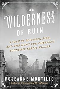 The Wilderness of Ruin: A Tale of Madness, Fire, and the Hunt for America's Youngest Serial Killer