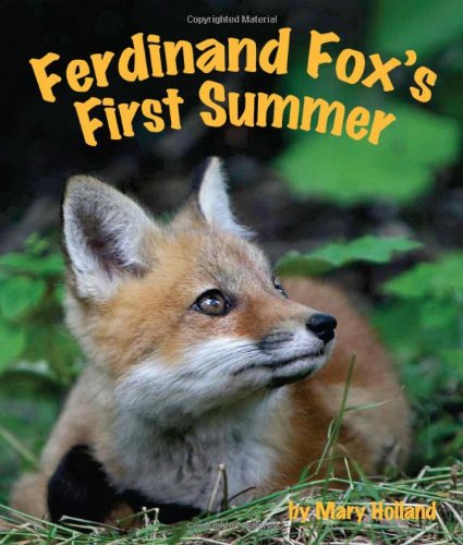Ferdinand Fox's First Summer by Mary Holland