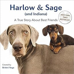 Harlow & Sage (and Indiana): A True Story About Best Friends