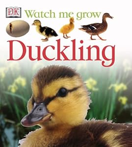 Duckling