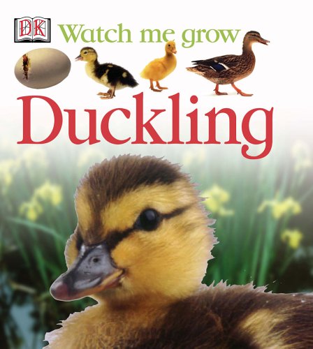 Duckling by DK Publishing