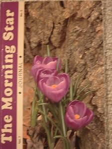 The Morning Star Journal, Vol. 7