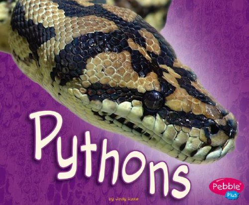 Pythons by Jody Sullivan Rake