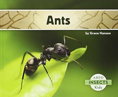 Ants