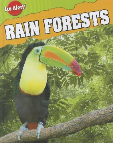 Rain Forests by Rebecca Hunter