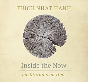 Inside the Now: Meditations on Time