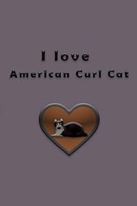 I love American Curl Cat by rach yag