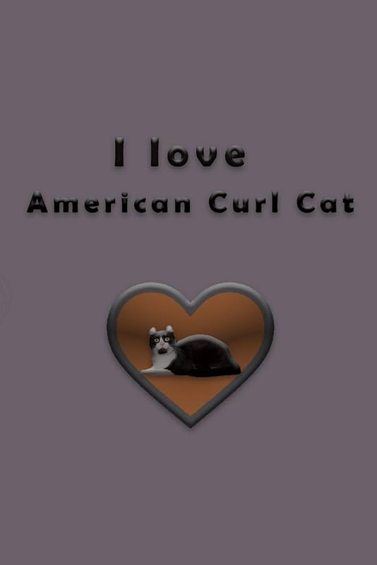 I love American Curl Cat by rach yag