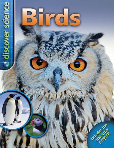Discover Science: Birds by Nicola Davies