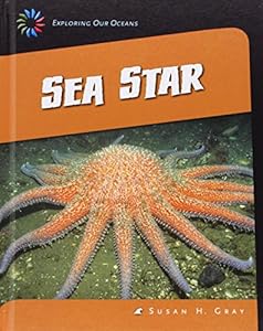 Sea Star