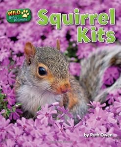 Squirrel Kits