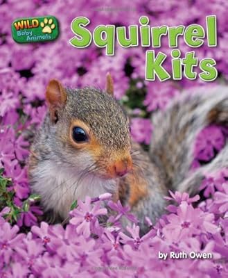 Squirrel Kits