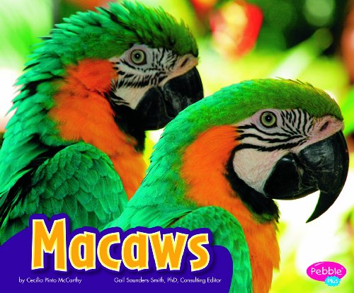 Macaws by Cecilia Pinto McCarthy