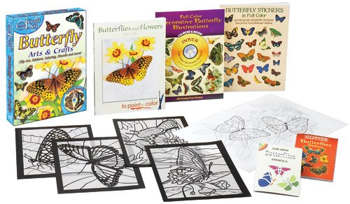 Butterfly Arts & Crafts Fun Kit