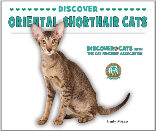 Discover Oriental Shorthair Cats by Trudy Micco