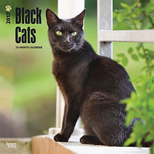 Black Cats - 2017 Calendar 12 x 12in