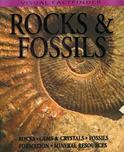 Rocks and Fossils
