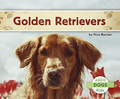 Golden Retrievers