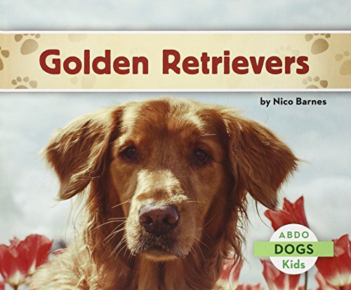 Golden Retrievers by Nico Barnes
