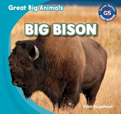 Big Bison