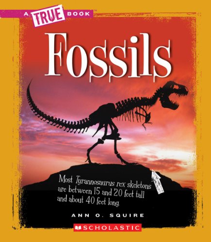 Fossils by Ann O Squire