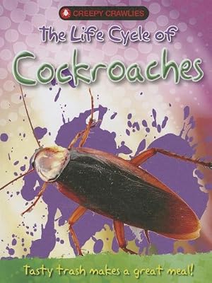 The Life Cycle of Cockroaches
