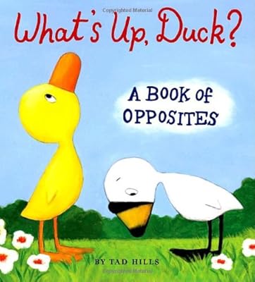 What's Up, Duck?: A Book of Opposites (Duck & Goose)